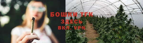 spice Бронницы