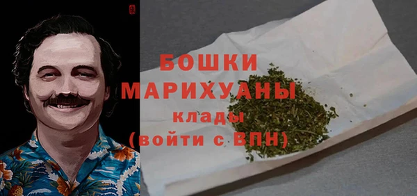 молекула духа Бугульма