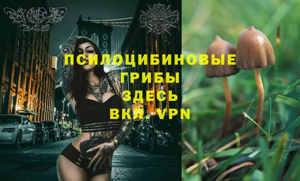 spice Бронницы