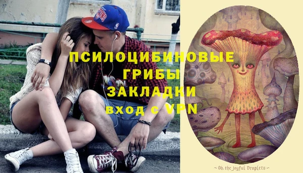 молекула духа Бугульма