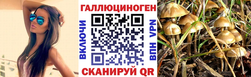 ОМГ ОМГ сайт  Шадринск  Галлюциногенные грибы мицелий 