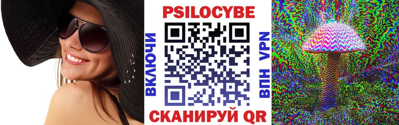 Псилоцибиновые грибы Cubensis Шадринск